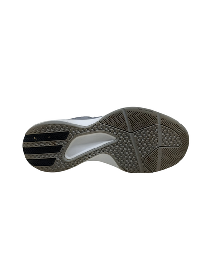 Adidas Sprint Frame Derrick Rose