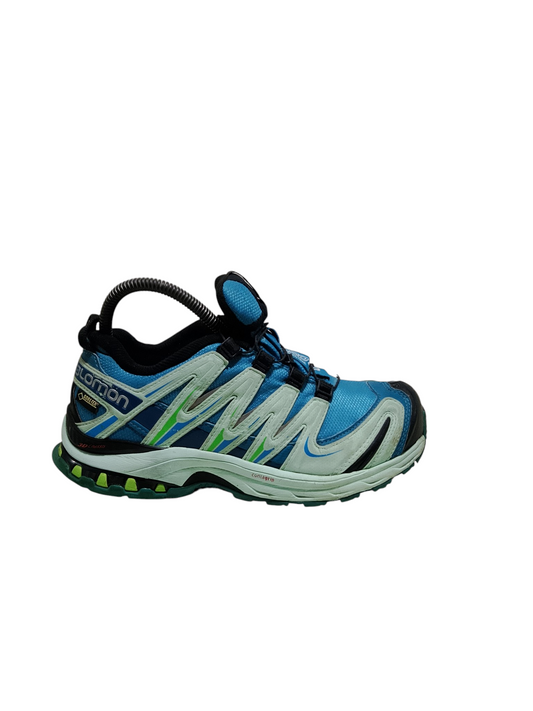 Salomon XA Pro Gore Tex