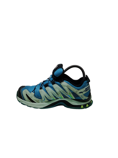 Salomon XA Pro Gore Tex