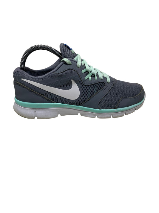 Nike Flex Experience Run 3 'Grey Mint'