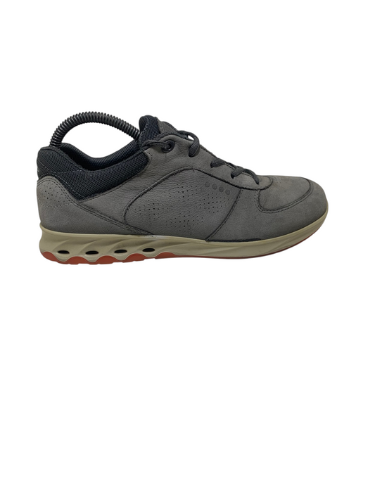 Ecco Flex Web Trainer