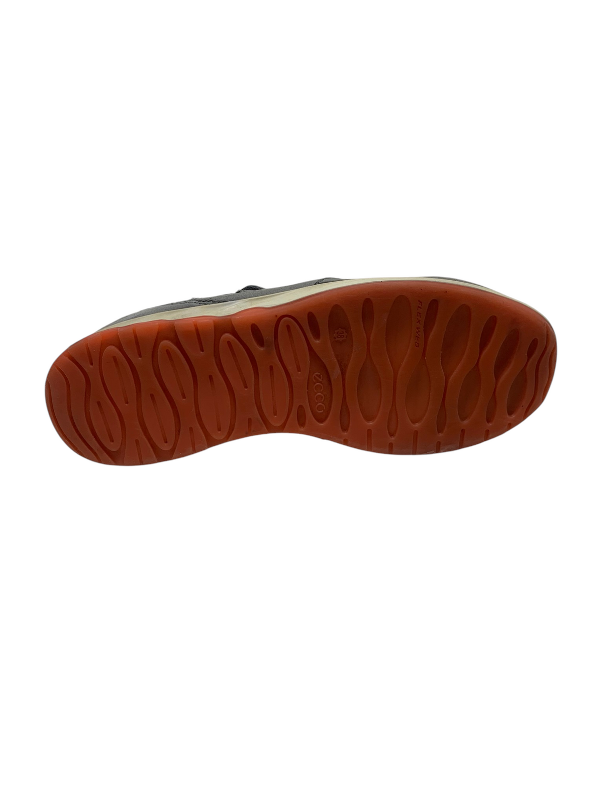 Ecco Flex Web Trainer