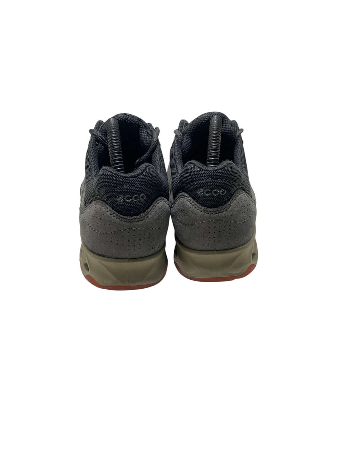 Ecco Flex Web Trainer