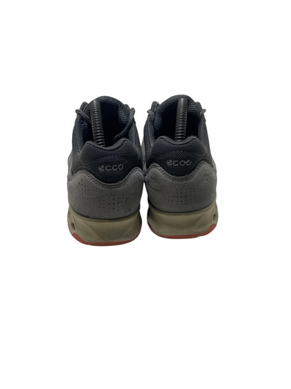 Ecco Flex Web Trainer