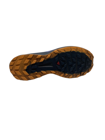 Salomon Sense Ride 4
