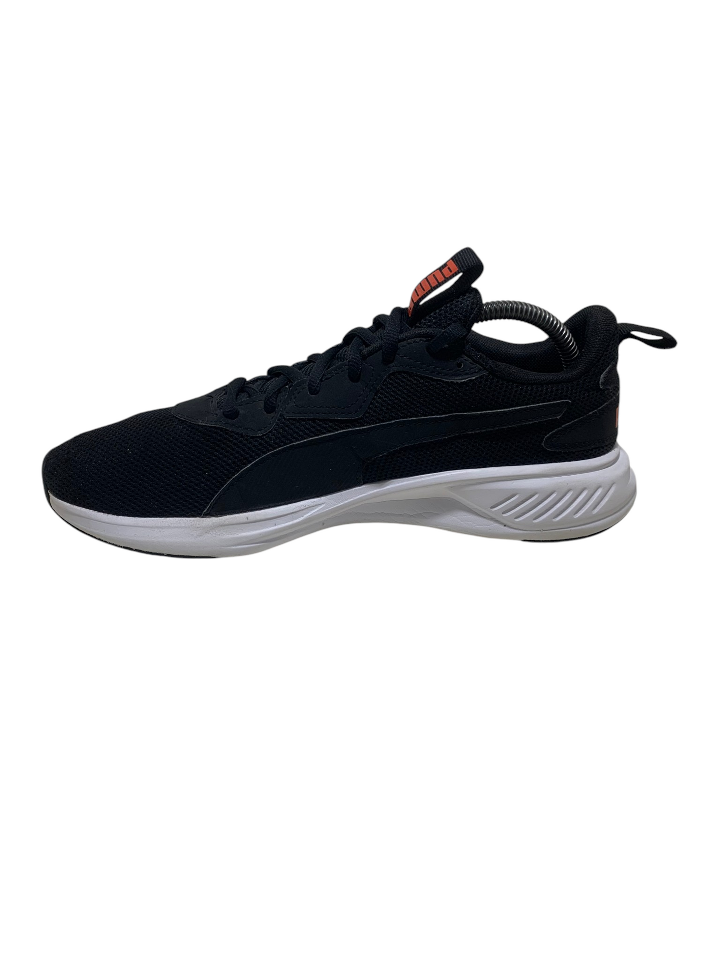 PUMA Incinerate