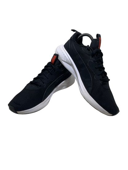 PUMA Incinerate
