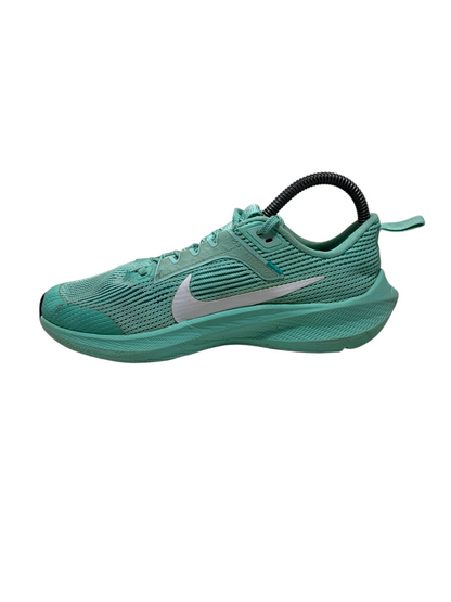 Nike Air Zoom Pegasus 40 'Mint Green'