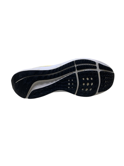 Nike Pegasus 40 Running