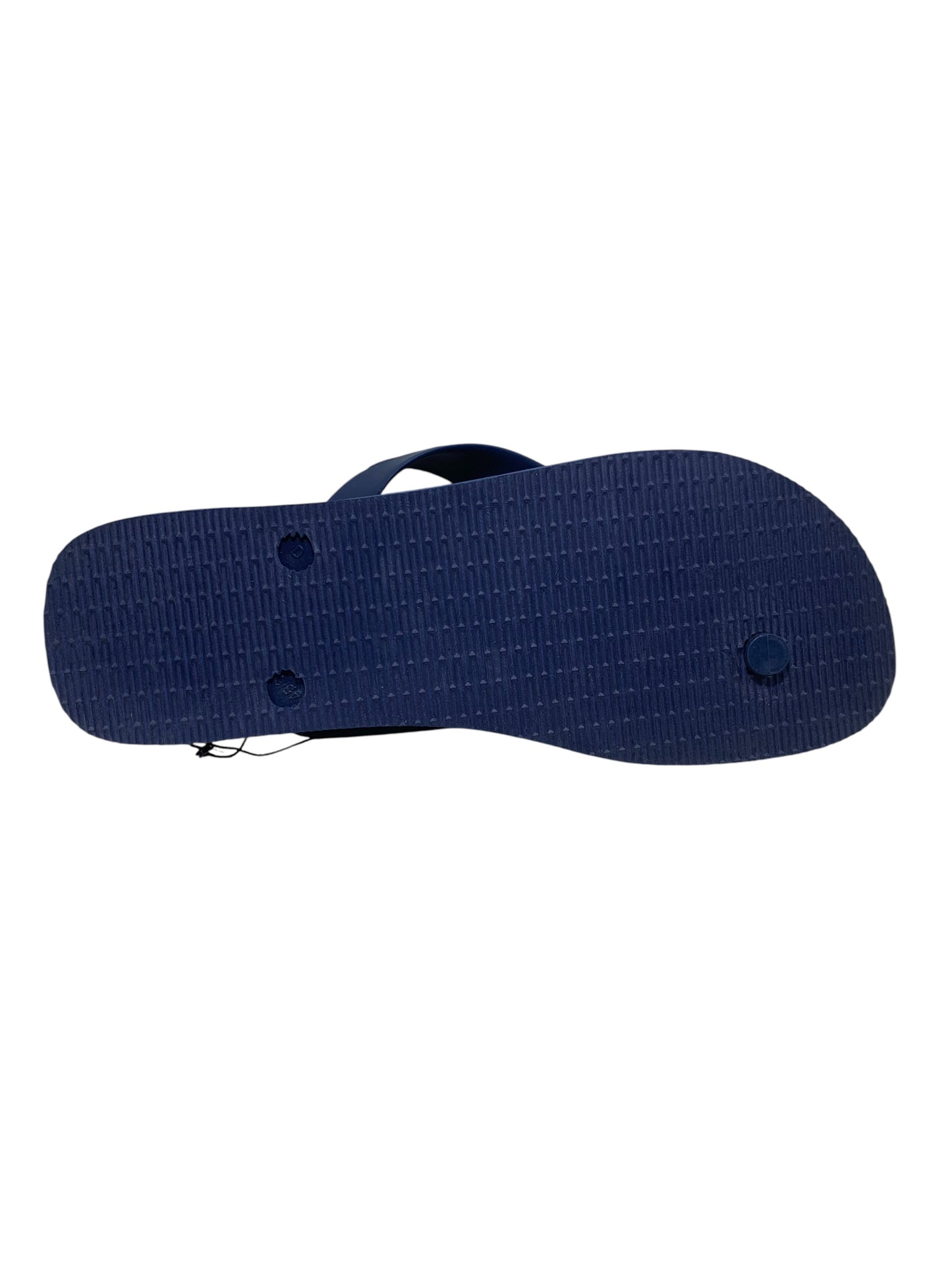 Havaianas Blue Flip Flop