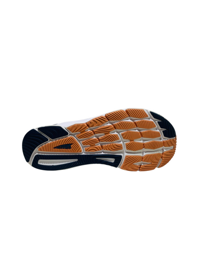 Altra Torin 6
