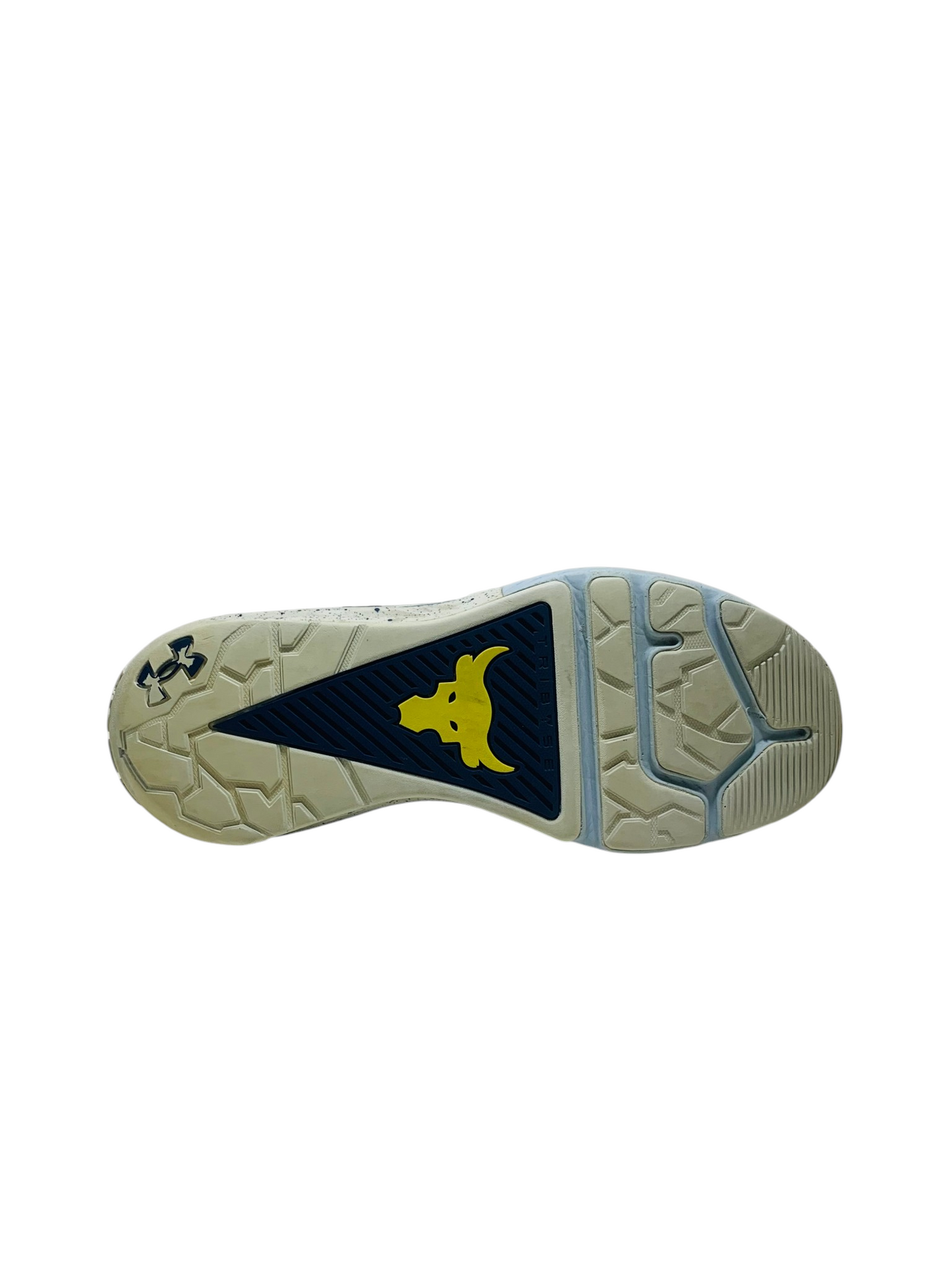 Under Armour Project Rock 4 Blue
