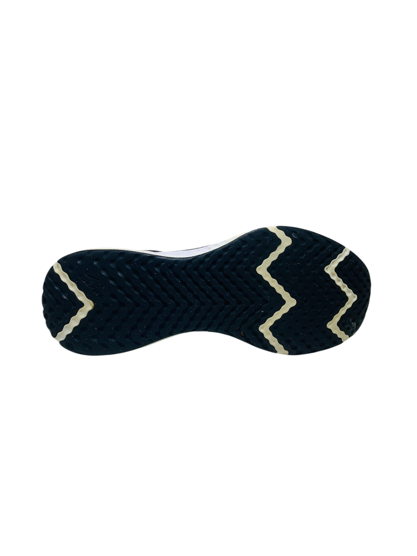 Nike Men's Revolution 5